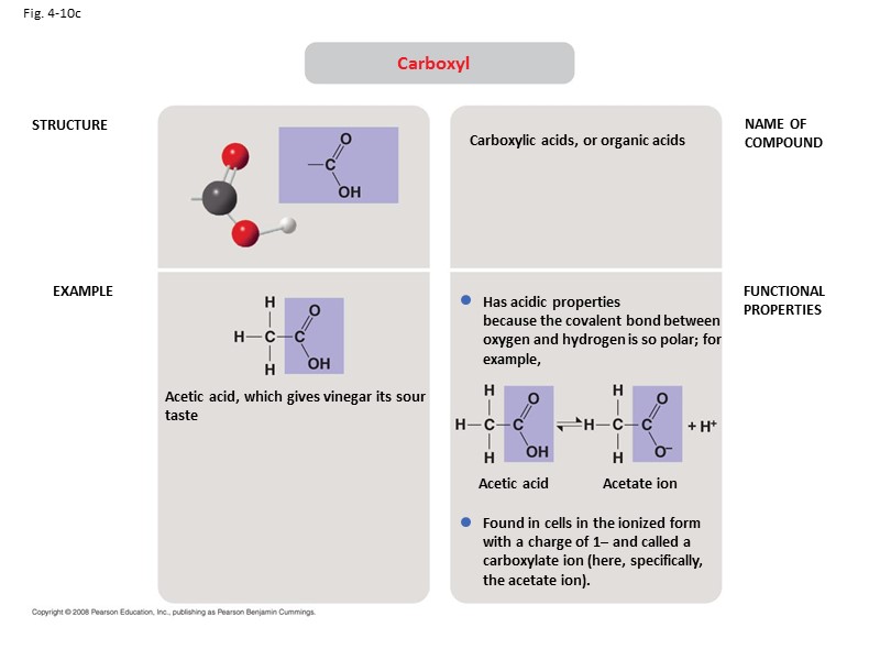 Fig. 4-10c STRUCTURE EXAMPLE NAME OF COMPOUND FUNCTIONAL PROPERTIES Carboxyl Acetic acid, which gives